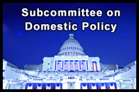 subcommittee_on_domestic_policy