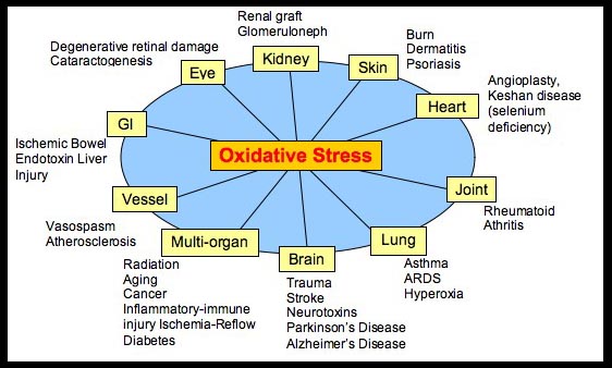 oxidative_stress_overview_copy