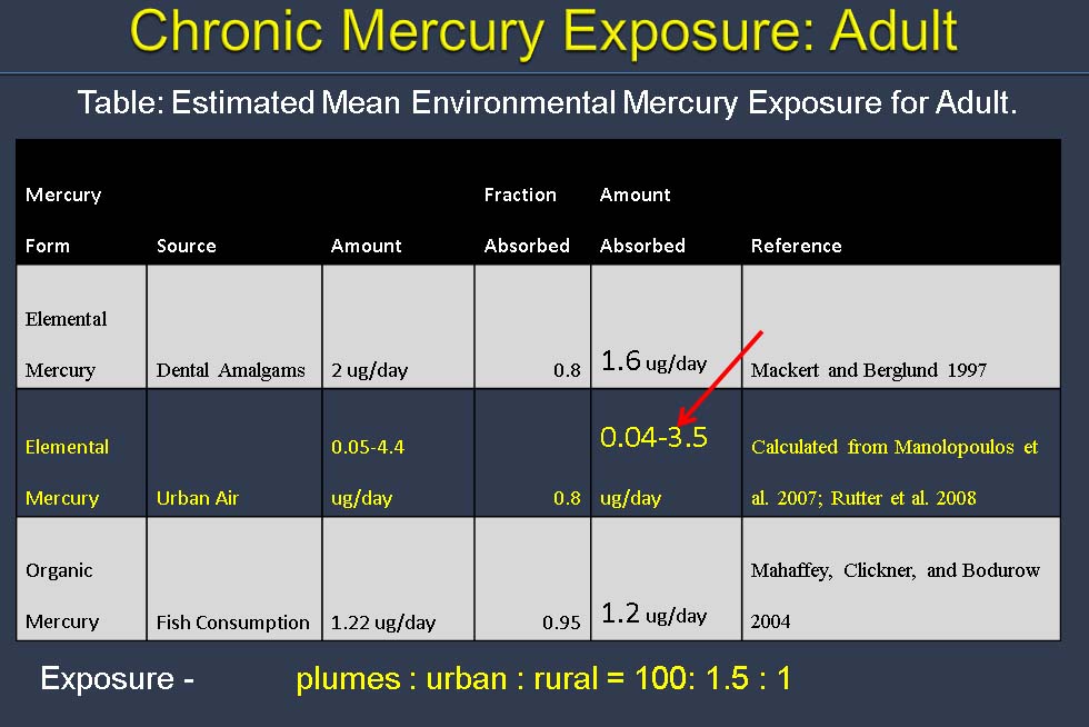 mercury-exposure-dan-laks-study