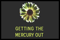 Getting the mercury out, by Aine Ni Cheallaigh.