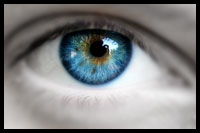 A compilation of studies linking mercury exposure to color vision loss
