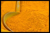 Detoxification and antioxidant effects of curcumin in rats experimentally exposed to mercury